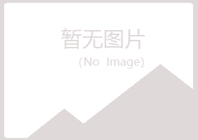 河南白山会计有限公司